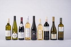 tady jsou vína vybraných vinařství