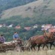 Čeští krajané v Rumunsku jedou na pole